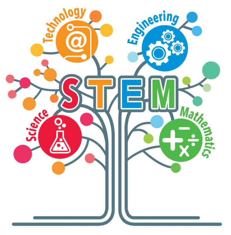 Kế hoạch bài dạy STEM